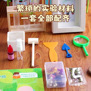 Kit scientifique pour enfants Toyman Little Botanist, expérience de culture DIY, exploration de la nature, jouet pour les enfants de 5 à 7 ans - Product Image 2