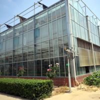 Serre multi-chapelles de style Venlo en acier avec parois en verre/PC pour l'agriculture et la croissance des plantes