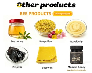 BEESTAR Meilleure Fourniture OEM/ODM Vente en Gros <span class=keywords><strong>Miel</strong></span> 100% Pur et Naturel <span class=keywords><strong>Miel</strong></span> <span class=keywords><strong>de</strong></span> <span class=keywords><strong>Sidr</strong></span> Naturel pour le Fitness et la Santé - Product Image 5