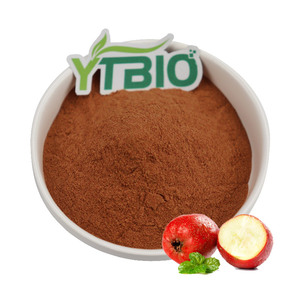 サンザシ果実エキス粉末 - 機能性食品やサプリメントのための自然な消化サポートと抗酸化作用 - Product Image 3