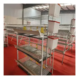 Tanzania broiler poultry farm chicken cage for sale cheap chicken broiler cage
