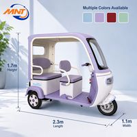 Triciclo Eléctrico de Pasajeros al por Mayor de Fábrica, Puertas Personalizables, 800W, Capacidad de Carga, 4 Pasajeros, Multiusos, Tipo Tuk