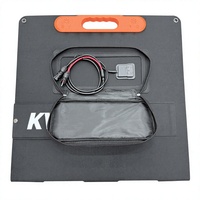 Kit de panneaux solaires pliables portables 100w 200w 12 Volts 24v 100w 12v Noir pour générateur solaire portable