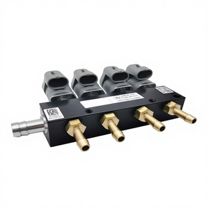 LPG/CNG 汽油车油改气喷油器导轨 4缸线圈套件 灰色 2欧姆喷油导轨 汽车配件 发动机 - Product Image 1