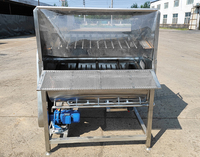 Plumeuse-échaudeuse de volailles pour poulets, canards, cailles, pigeons d'allaitement, pour ligne d'abattage