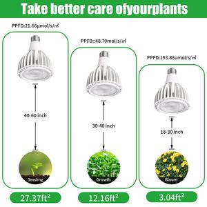 COB PAR30 식물은 저렴한 가격을 사용하여 가벼운 내구성 24W 실내 식물 성장 전구 - Product Image 4