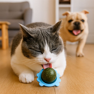 Giocattolo interattivo all'ingrosso della palla del gatto del Silicone del cane del gatto del giocattolo resistente del cane per la pulizia dei denti che masticano ed il gioco divertente - Product Image 3