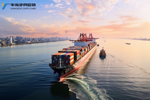 Las mejores empresas de logística de envío barato, servicio de transporte marítimo puerta a puerta desde China a Reino Unido/Filipinas/India/Emiratos Árabes Unidos - Product Image 3