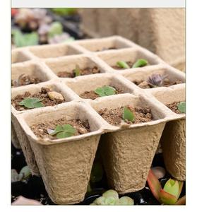 Plateau de semis de pâte biodégradable pour plantes de jardin <span class=keywords><strong>Bassin</strong></span> de tourbe réutilisable Plateau de semis respectueux de l'environnement Tasse de plantation de fleurs - Product Image 5