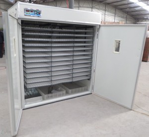 Éclosion de pigeon <span class=keywords><strong>paon</strong></span> 6000 oeufs de poule incubateur d'oeufs de volaille domestique HJ-I6336 - Product Image 2