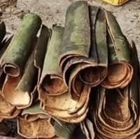 Mesin Pemotong Irisan Kayu Manis Herbal Cina untuk Licorice, Scutellaria, Astragalus, Smilax, Phellodendron, Kulit Magnolia