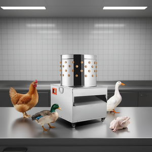 Plumeuse à volaille semi-automatique en acier inoxydable, diamètre du tambour 23,5 pouces, 2200W, pour la préparation de la viande - Product Image 2