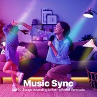 Tuya Smart Alexa Google Home Télécommande vocale 5W E14 Ampoule candélabre