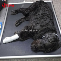 Lit surélevé pour chien en aluminium résistant aux morsures, imperméable, pour extérieur, lit de repos ventilé et rafraîchissant pour chiens de grande, moyenne et petite taille