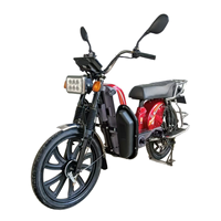 Trottinette électrique 1000W, batterie au plomb 48V 60V, trottinette électrique urbaine personnalisable en couleur