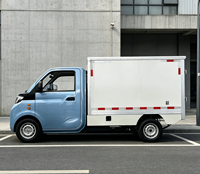 Vehículo Eléctrico de Reparto Cero Emisiones con Caja Grande para Vendedores de Comercio Electrónico, Preparación y Envío FBA