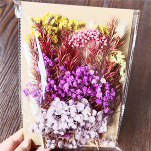 M61 Matériel de fleurs séchées DIY, fleurs séchées réelles conservées, fleurs pressées parfumées pour la fabrication de bougies parfumées, savon en résine, art des ongles, bijoux - Product Image 3