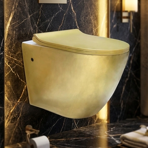 โถสุขภัณฑ์แบบแขวนผนังสีเงิน โถสุขภัณฑ์เซรามิกสีทองแบบแขวนผนัง - Product Image 6