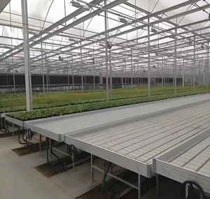 Double Rack Growing Grow Table <strong>Racking</strong> Growing Racks Growing Racks for <strong>Greenhouse</strong> - Product Image 1