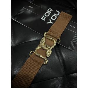 Cinturón Elástico con Hebilla de Serpiente Dorada para Mujer, Estilo Y2K, Cinturón Metálico con Herrajes de Aleación, Accesorio de Moda - Product Image 3