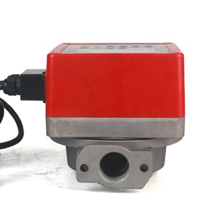 Medidor de Flujo de Combustible Diésel de Alta Precisión, Contador Mecánico de Diésel, Medidor de Flujo de Combustible <span class=keywords><strong>Digital</strong></span> Electrónico Cuantificado, OFERTA NUEVA 2021 - Product Image 4