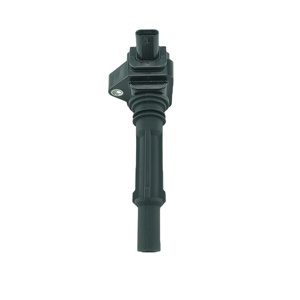 1721580103 1731580103 SSANGYONG, зажигание в спирали, ACTYON KYRON REXTON KORANDO C MUSSO RODIUS TIVOLI - Product Image 1