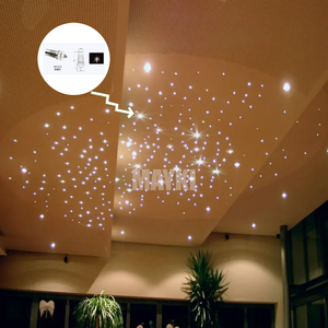 Accessoires d'extrémité en <span class=keywords><strong>fibre</strong></span> optique pour éclairage de plafond ciel étoilé, lumières d'étoiles à effet de fin de <span class=keywords><strong>fibre</strong></span>, pour décoration de plafond étoilé - Product Image 1