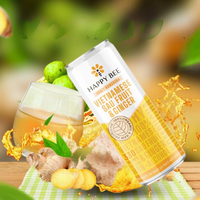 Vente en gros OEM de boissons vietnamiennes au thé kombucha à bon prix Boisson gazeuse aux fruits gingembre Ingrédients naturels Fabriqué Vietnam