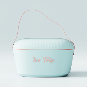 OEM Logo 12QT outdoor fishing camping picnic mini insulated ice cooler box portable food cooler box