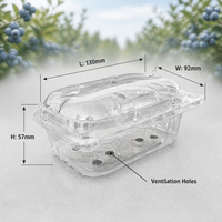 Conteneur en plastique transparent ventilé en RPET recyclé, écologique, capacité 150g, prêt à être expédié, pour l'emballage des fruits