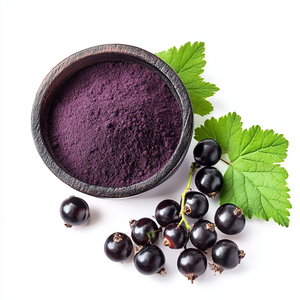 Harga Grosir Bubuk Ekstrak <span class=keywords><strong>Blackcurrant</strong></span> Murni <span class=keywords><strong>Anthocyanin</strong></span> Ekstrak Black Currant 5%-25% Bubuk <span class=keywords><strong>Anthocyanin</strong></span> - Product Image 4