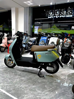 High Speed 48km/h 800W Electric Bike Motorcycles 60V/72V 10inch Electric Scooter 69KM Range E Mopeds for Adults
