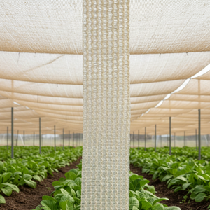 <span class=keywords><strong>Filet</strong></span> pare-soleil beige en HDPE, approvisionnement direct usine, haute qualité et prix compétitif, optimise la récolte pour projets agricoles - Product Image 2