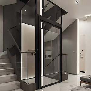 โรงงานจีนจัดจำหน่ายโดยตรง ลิฟต์บ้านขนาดเล็ก 2 ชั้น ราคาดีที่สุด - Product Image 1