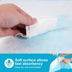 Venta al por mayor desechable absorbente 6 capas adhesivo perro pañal orinal cachorro orina almohadilla de entrenamiento para mascotas - Product Image 3