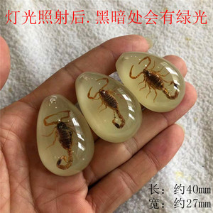 Wowei, venta al por mayor, pequeño espécimen Real, insecto, ámbar, accesorios, juguetes para niños, accesorios, espécimen de resina - Product Image 3