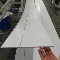 Panneau de plafond en PVC blanc pur imperméable moderne, fourni par l'usine, avec ligne argentée, panneau stratifié plat pour la décoration intérieure