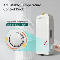 Chauffe-eau électrique instantané Anlabeier à commande manuelle, chauffage rapide, économie d'énergie, pour usage hôtelier et domestique