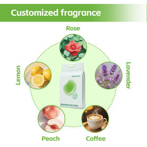 Ev-compostable koku eleme kedi çöp toplu bentonit topaklanma düşük karbonlu ücretsiz örnekleri biyobozunur - Product Image 3