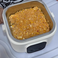 Boîte à lunch électrique sans fil 0,8 L beige avec pot intérieur en acier inoxydable, chauffe en 20 min, batterie rechargeable, pour usage domestique et extérieur, maintien au chaud