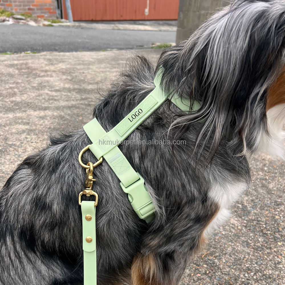 สายรัดสีเขียว