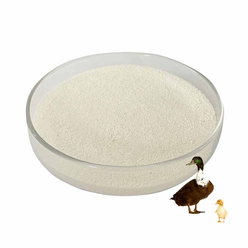 Аквакультура premix phytase фермент цена корма класса