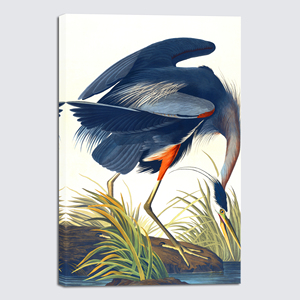 Impression sur toile suspendue Art Déco John <span class=keywords><strong>James</strong></span> Audubon Flamant rose américain et Heron bleu, décoration intérieure pour chambre, cuisine, salon, vente en gros - Product Image 1