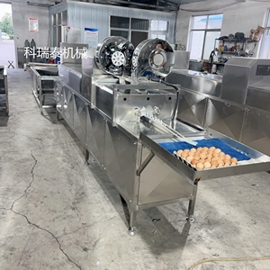 Machine à laver les œufs automatique à une rangée KR pour nettoyer les œufs de poule dans les usines de produits laitiers en vente - Product Image 2