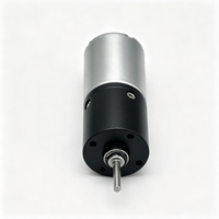 Moteur à engrenages planétaires à couple élevé 24 mm, sans balais, CC 24 V, 1-1500 tr/min, pour équipement médical et automatisation industrielle