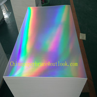 Film transparent métallisé holographique de stratification d'ANIMAL FAMILIER de modèle différent de grande quantité pour le carton