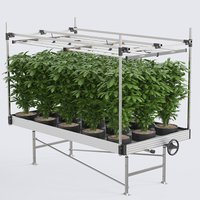 Table de culture hydroponique écologique avec structure métallique, bancs roulants et bacs de culture pour l'agriculture commerciale