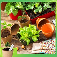 Kit de jardinage : pots en papier biodégradables avec trous de drainage pour semis de fleurs, légumes, herbes et succulentes