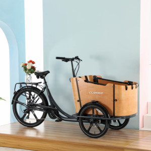 <span class=keywords><strong>Vélo</strong></span> cargo familial néerlandais à 3 roues, moteur arrière 250W, cadre en acier, capacité de charge élevée, Lastenrad, <span class=keywords><strong>vélo</strong></span> cargo - Product Image 4