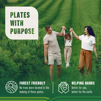 Assiette jetable blanche écologique de 6 pouces, résistante, anti-graisse, en bagasse de canne à sucre, compostable, pour plats à emporter et fêtes